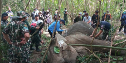 1642909106107702.png image.png