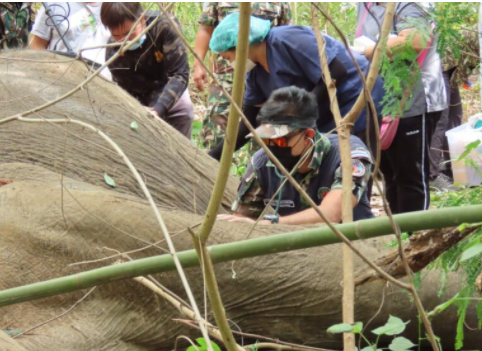 1642909241871923.png image.png