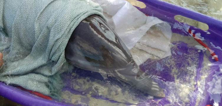 1650860156164542.png image.png